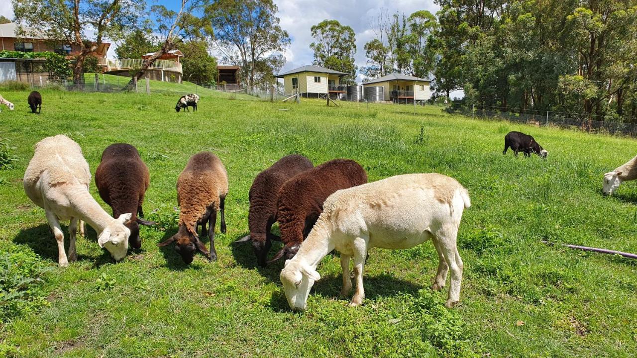 Blueberry Hills On Comleroy Farmstay - Self-Contained Cottages Kurrajong Dış mekan fotoğraf