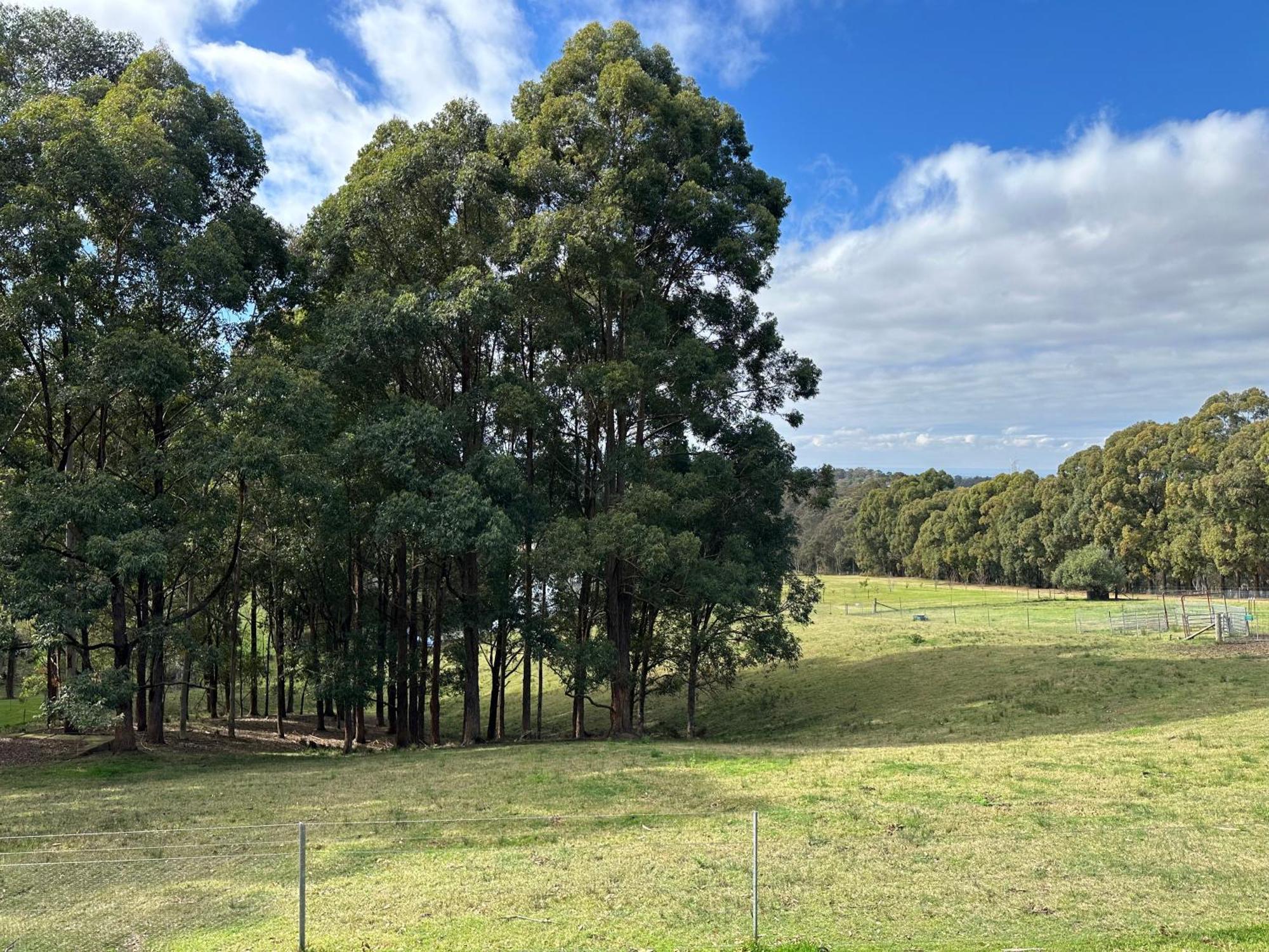 Blueberry Hills On Comleroy Farmstay - Self-Contained Cottages Kurrajong Dış mekan fotoğraf