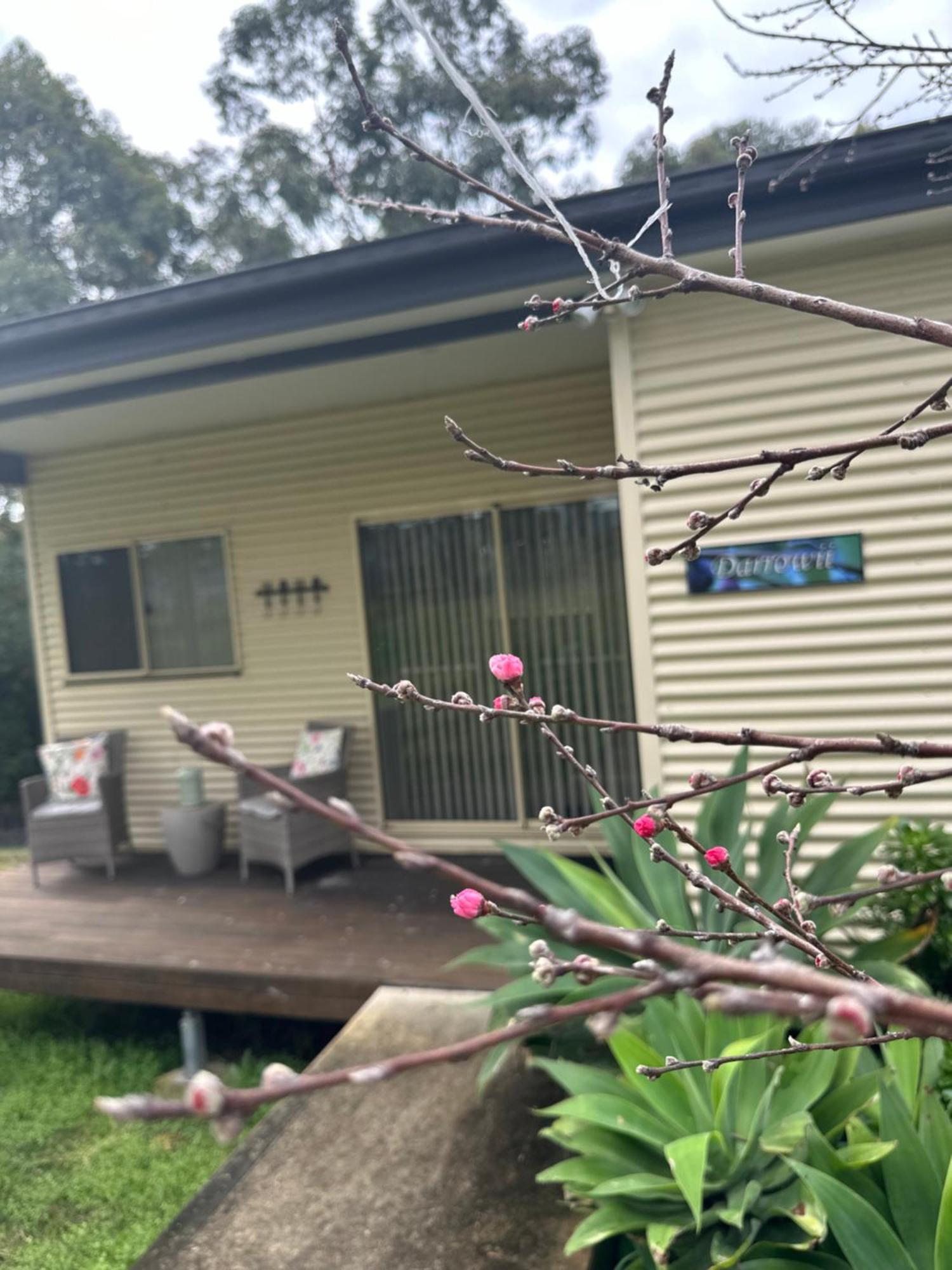 Blueberry Hills On Comleroy Farmstay - Self-Contained Cottages Kurrajong Dış mekan fotoğraf
