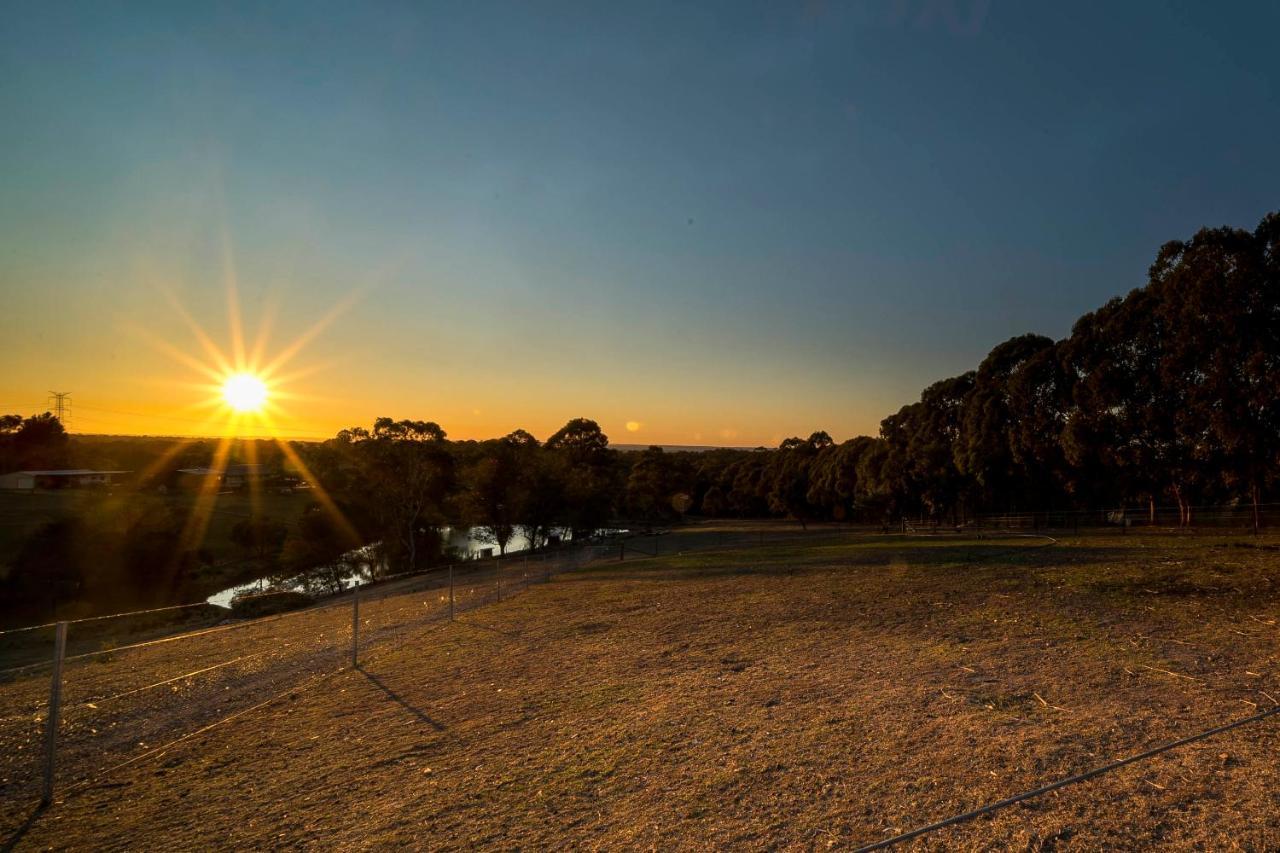 Blueberry Hills On Comleroy Farmstay - Self-Contained Cottages Kurrajong Dış mekan fotoğraf