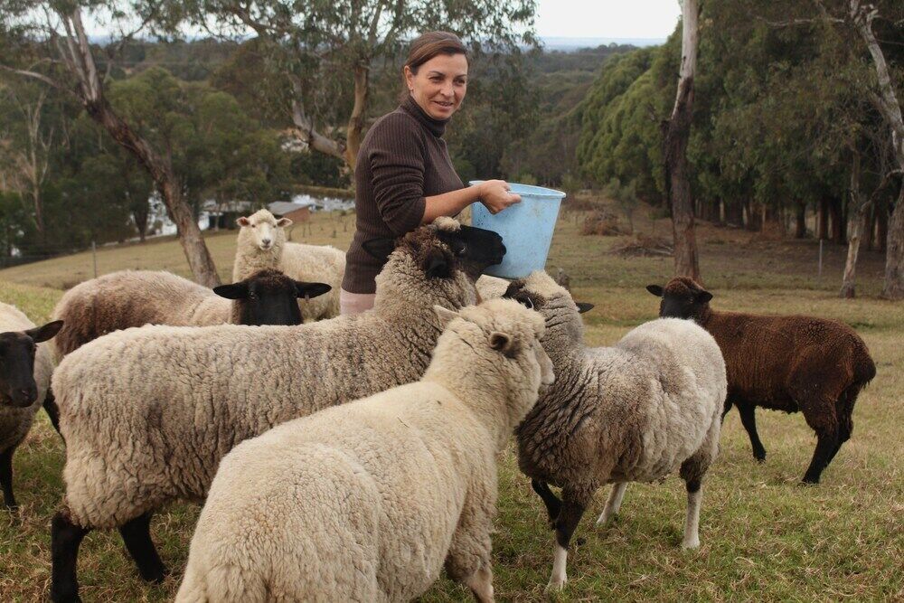 Blueberry Hills On Comleroy Farmstay - Self-Contained Cottages Kurrajong Dış mekan fotoğraf